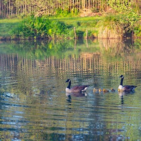 Beautiful Willow Lodge 67-4-6 Persons-Private Hot Tub-Pet Friendly-Tranquil Holiday Away From It All Yet Not Far To St Austell-The Holiday Home Has Two Bedrooms, Living & Dining Area, Equipped Kitchen -Decking-Al Fresco Dining-Fishing Lakes-Pet Frien Grampound Exterior photo